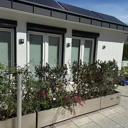 Appartement Modernes Im Wunderschoenen Garten Mit Pool Friedrichshafen